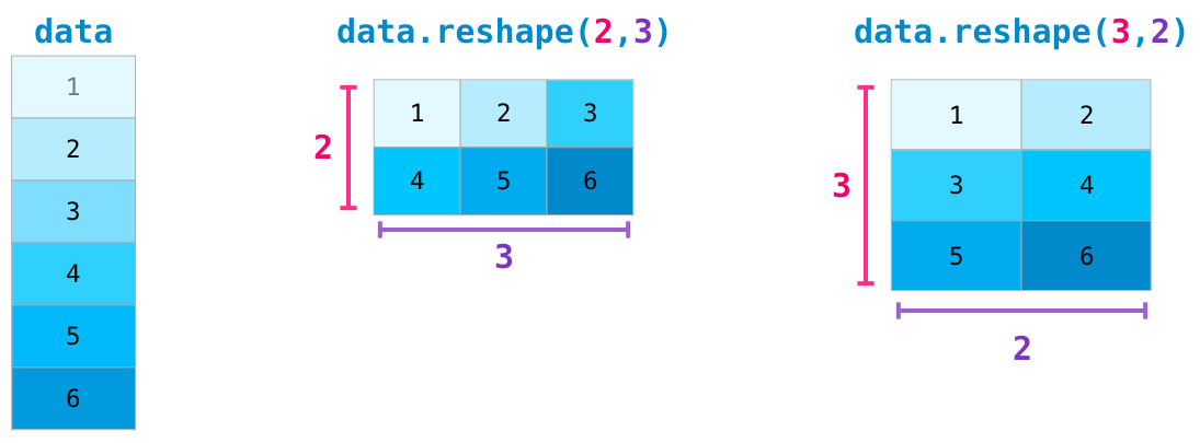 numpy_reshape